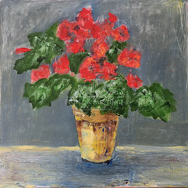 Red Begonia