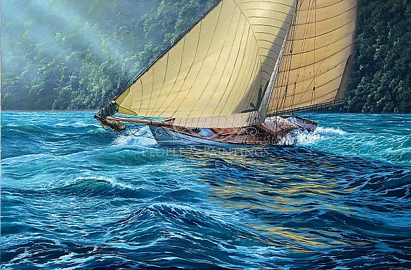 Bij de wind