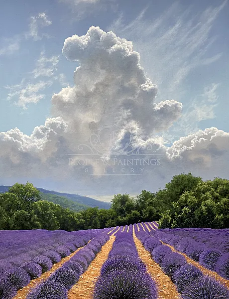 Valensole