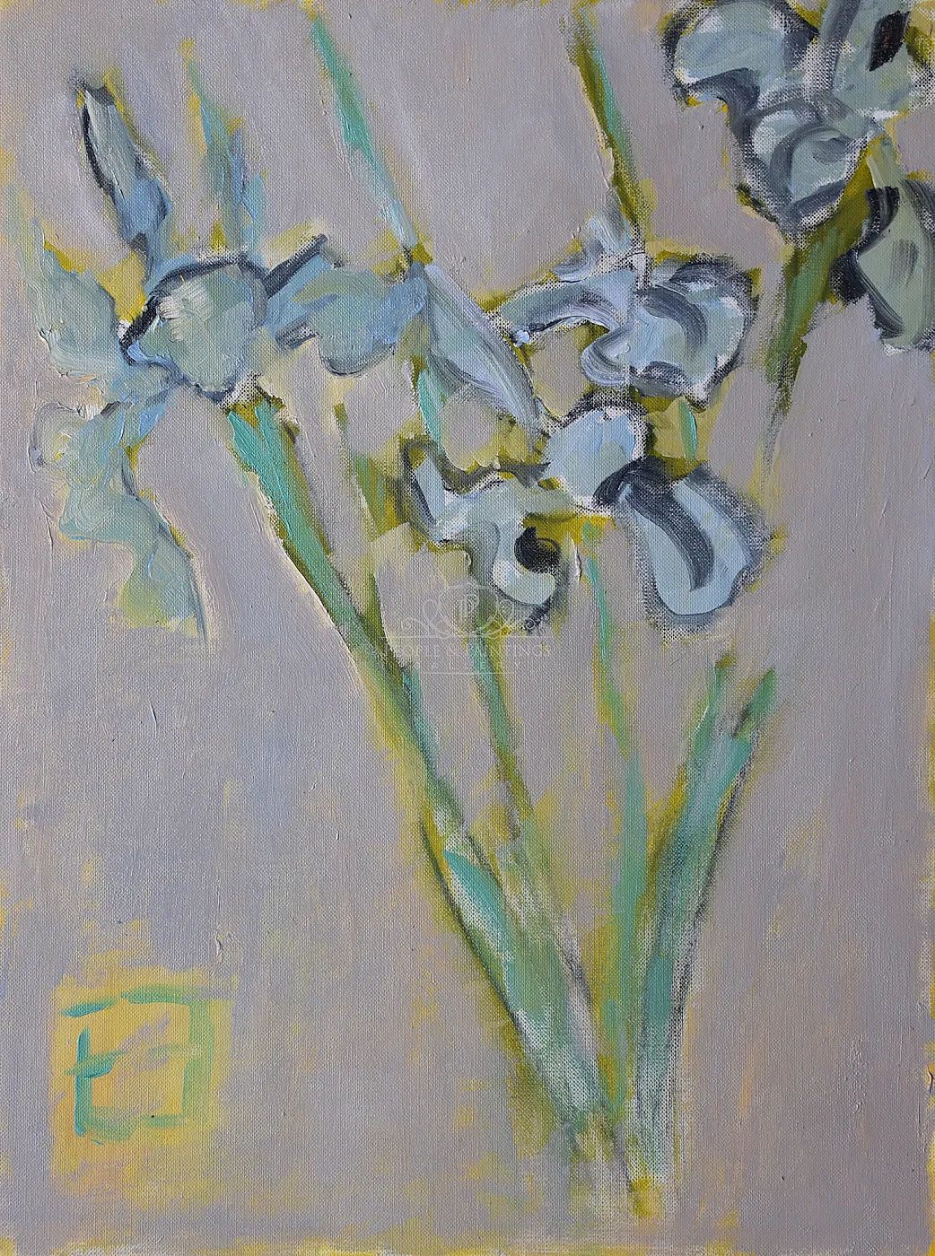 Blue irises
