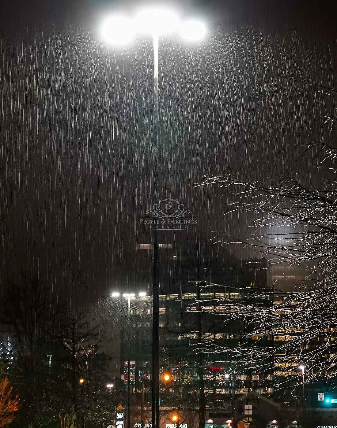 Night rain and street light