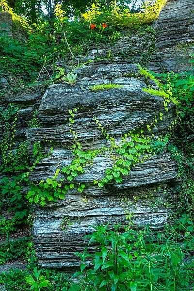 Rock and flowers