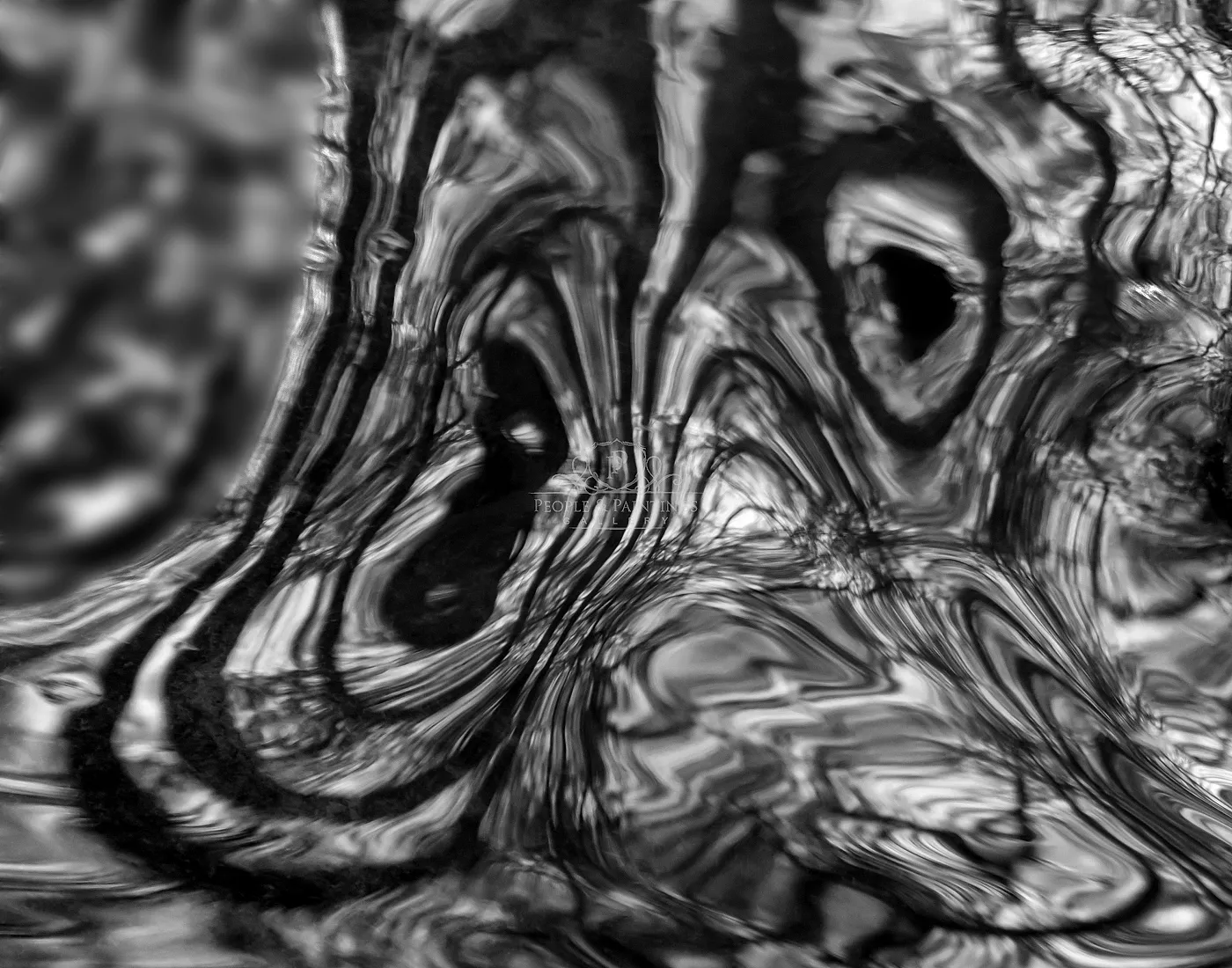 Fear