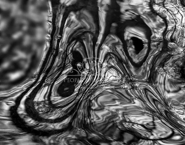 Fear