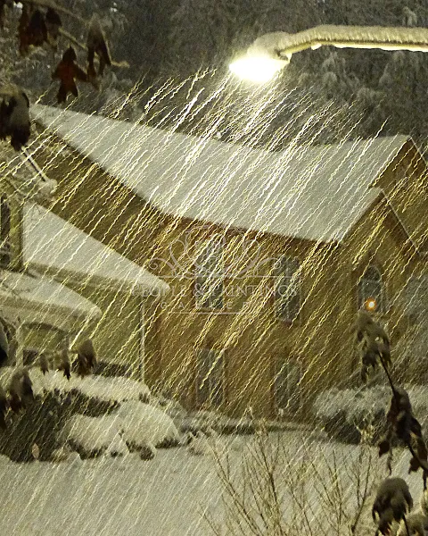 Blizzard