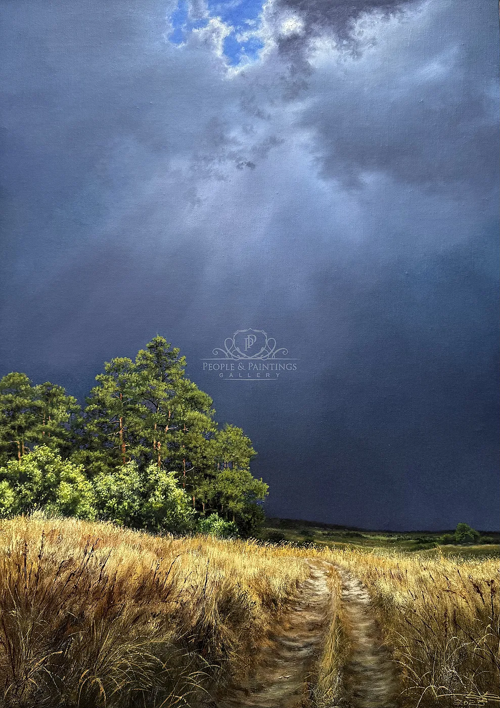Storm