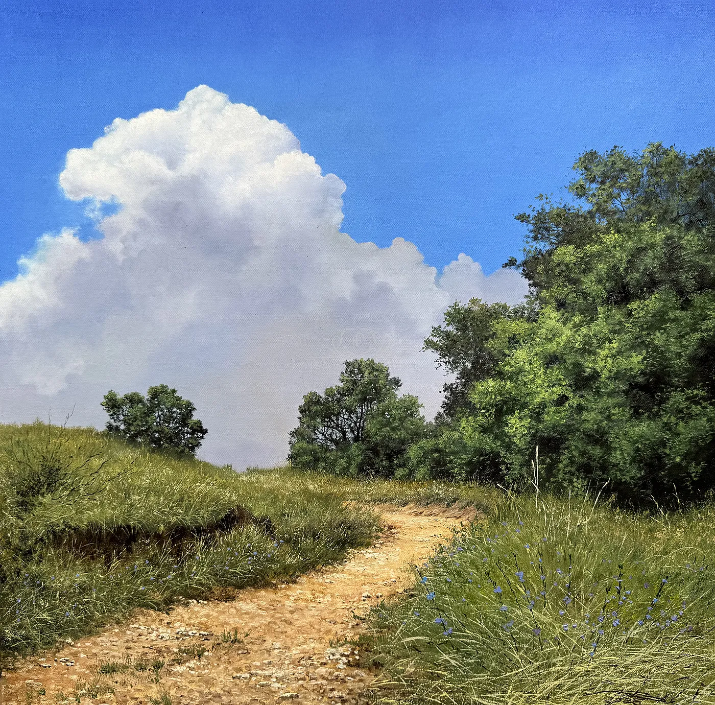 Road to the clouds