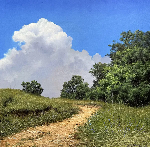 Road to the clouds