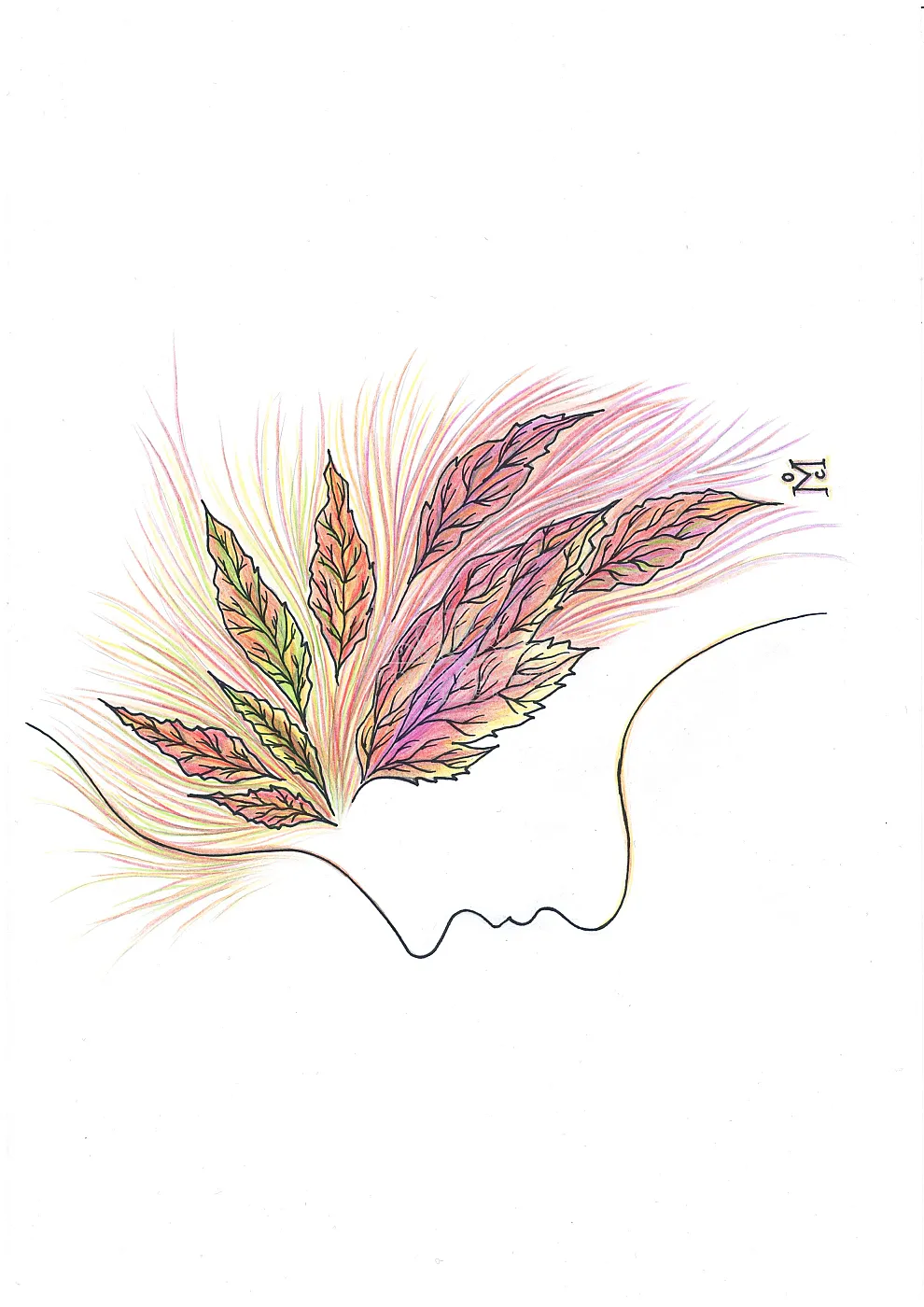 Autumn in my mind