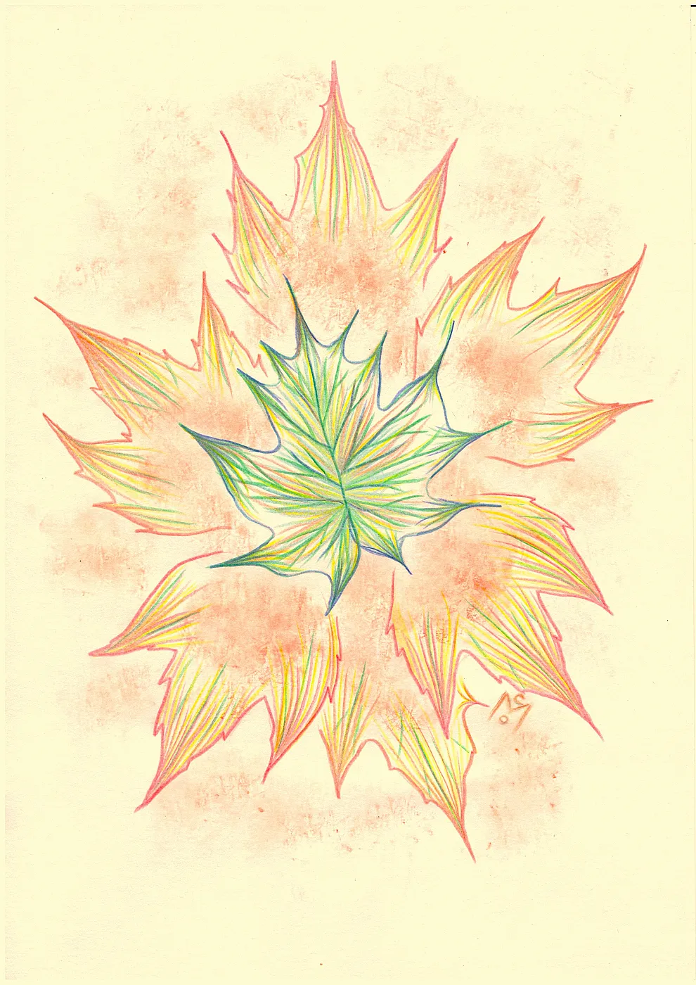 Autumn flower