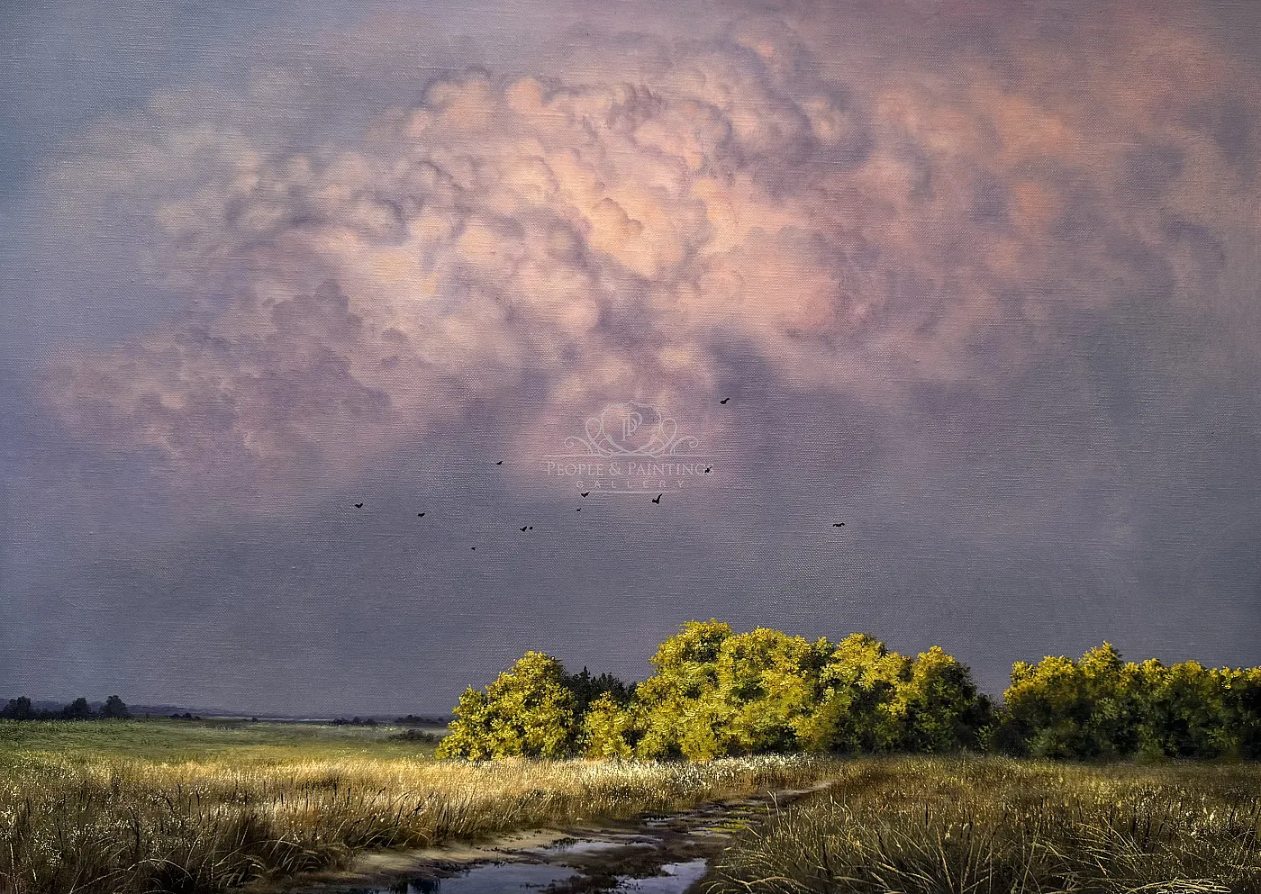 After the rain