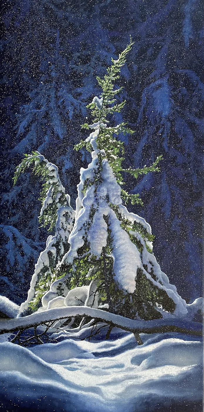Winter forest