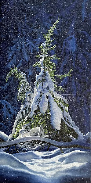 Winter forest
