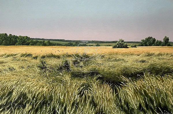The Rye