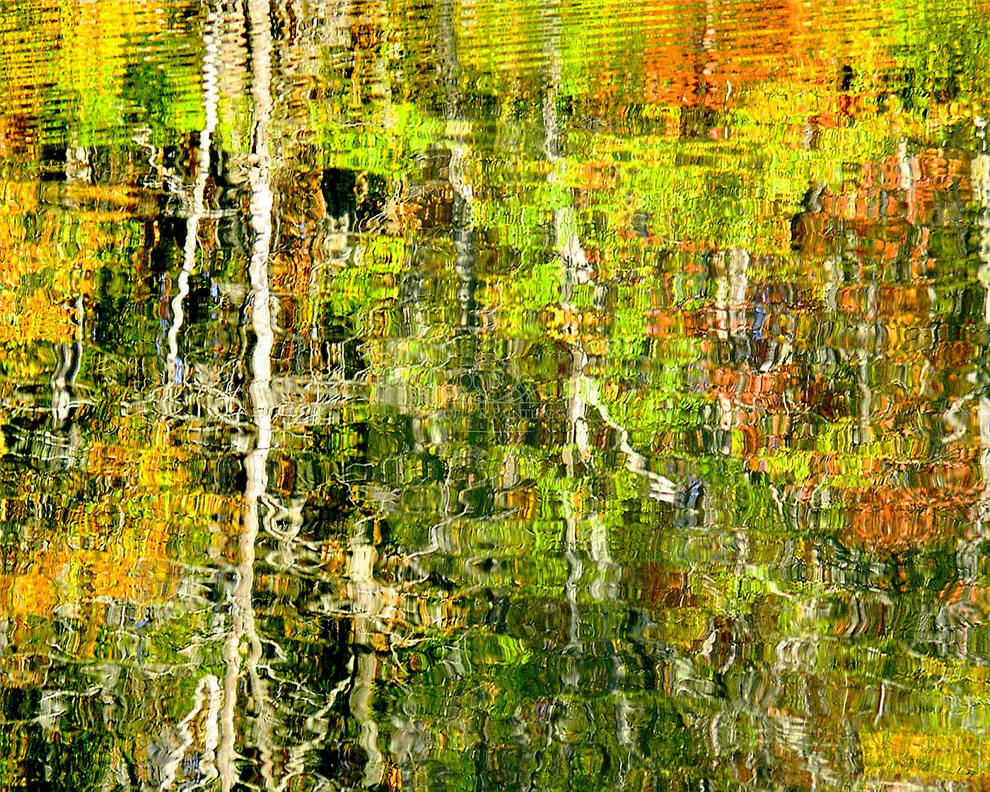Autumn Colors