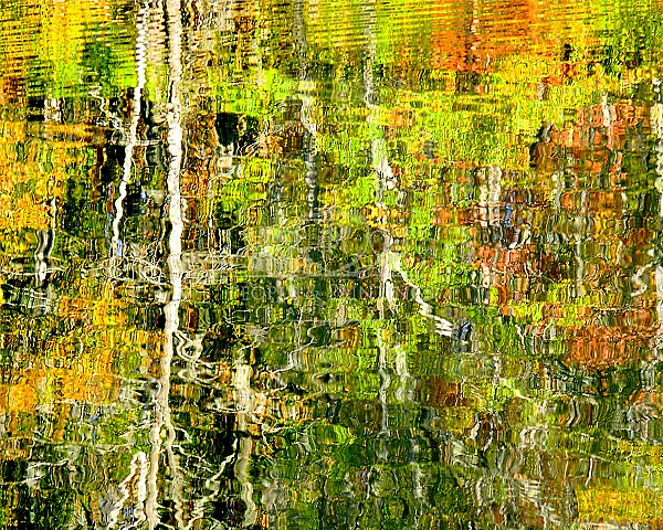 Autumn Colors