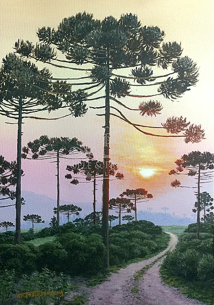 Campos de Araucárias (Monkey Puzzle Tree Fields)