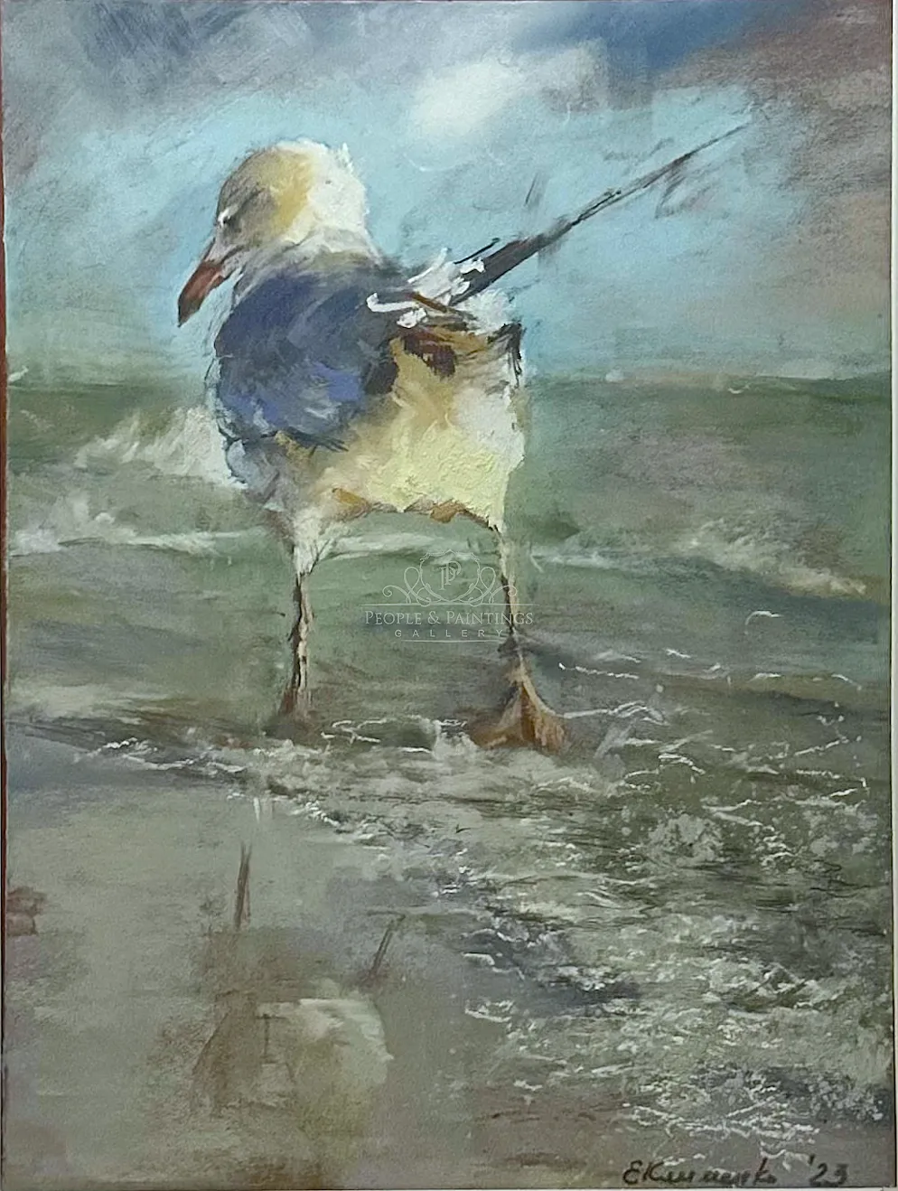 Sea eagle