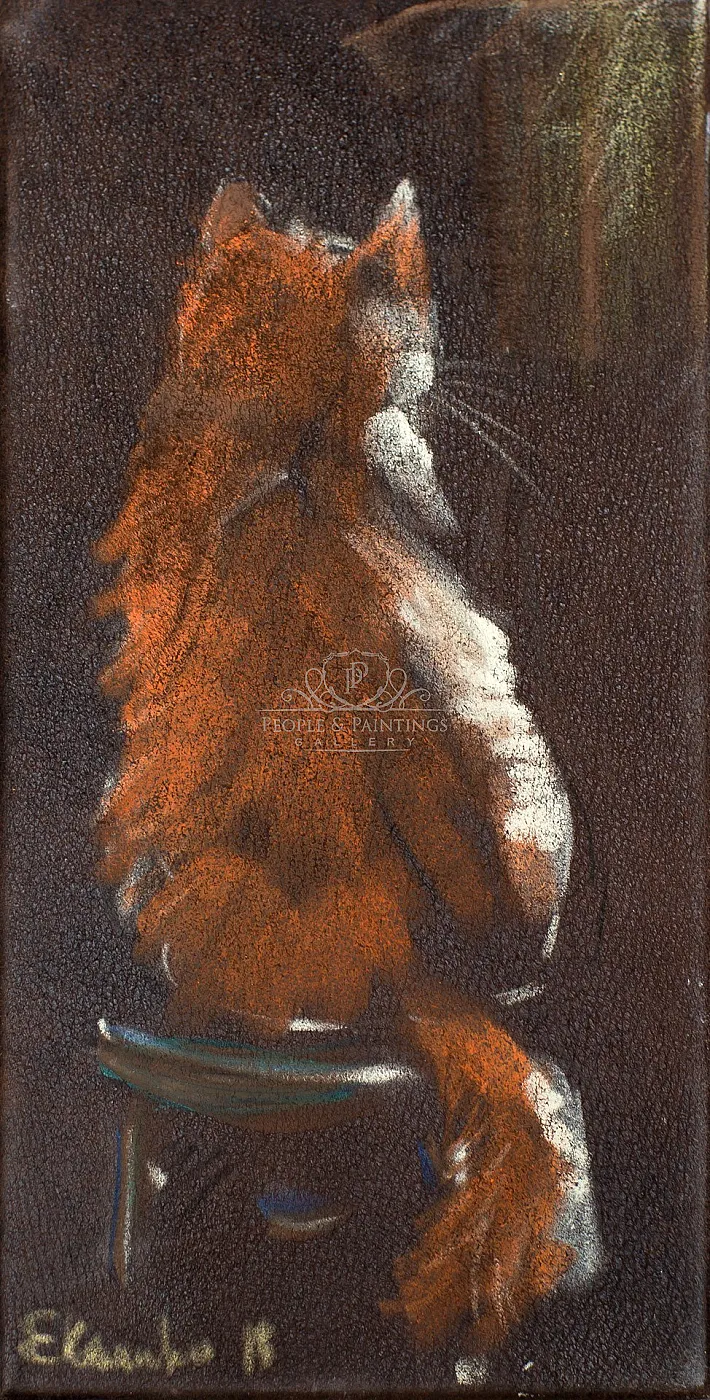A cat