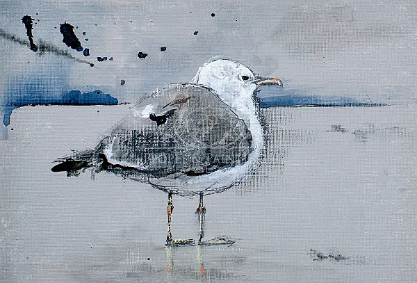Seagull