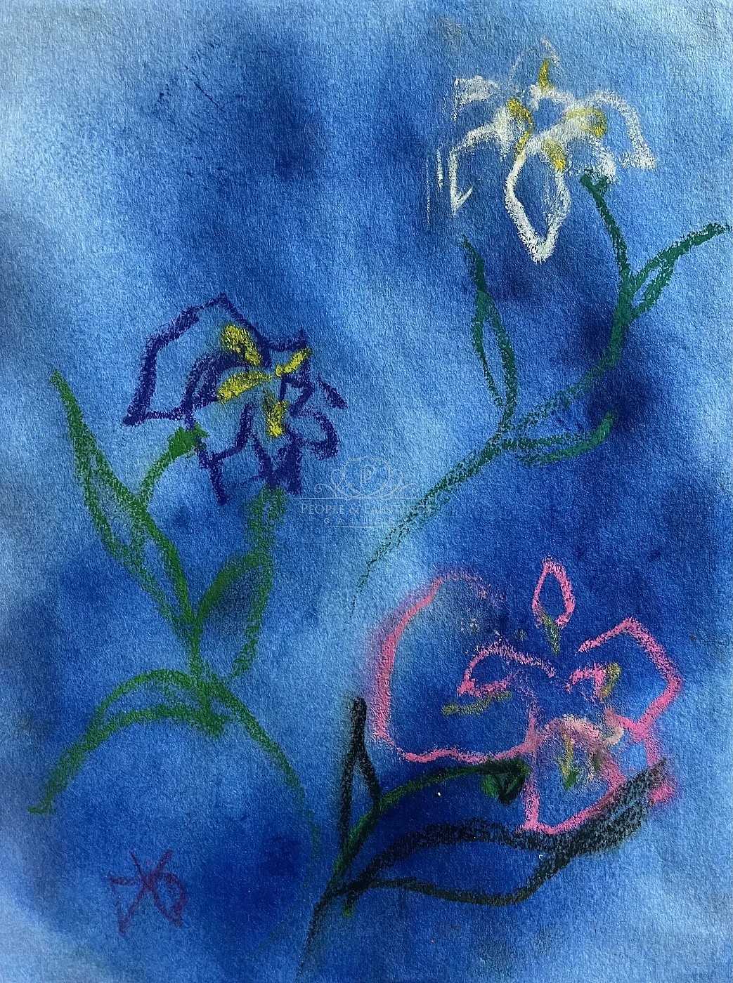 Three Irises
