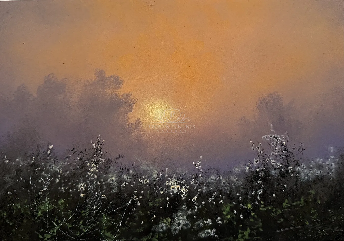 Fog