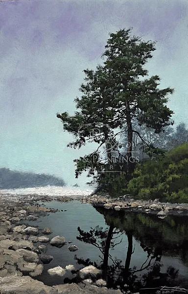 Reflections