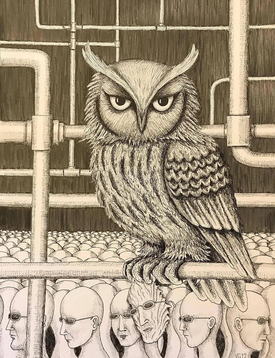 City Owl