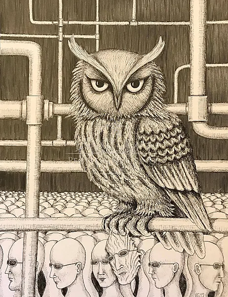 City Owl