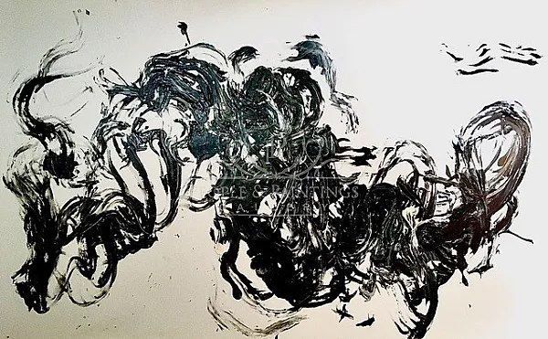 Spirit’s Fight