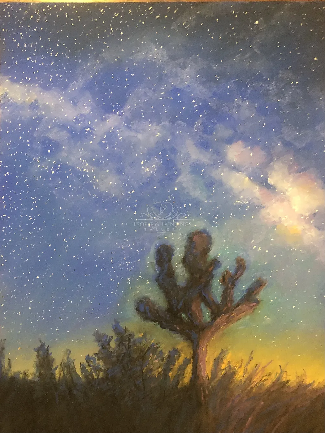 Nightfall at Joshua Tree