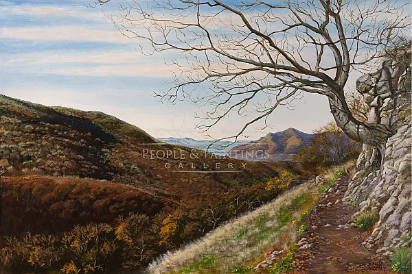 Mountain path