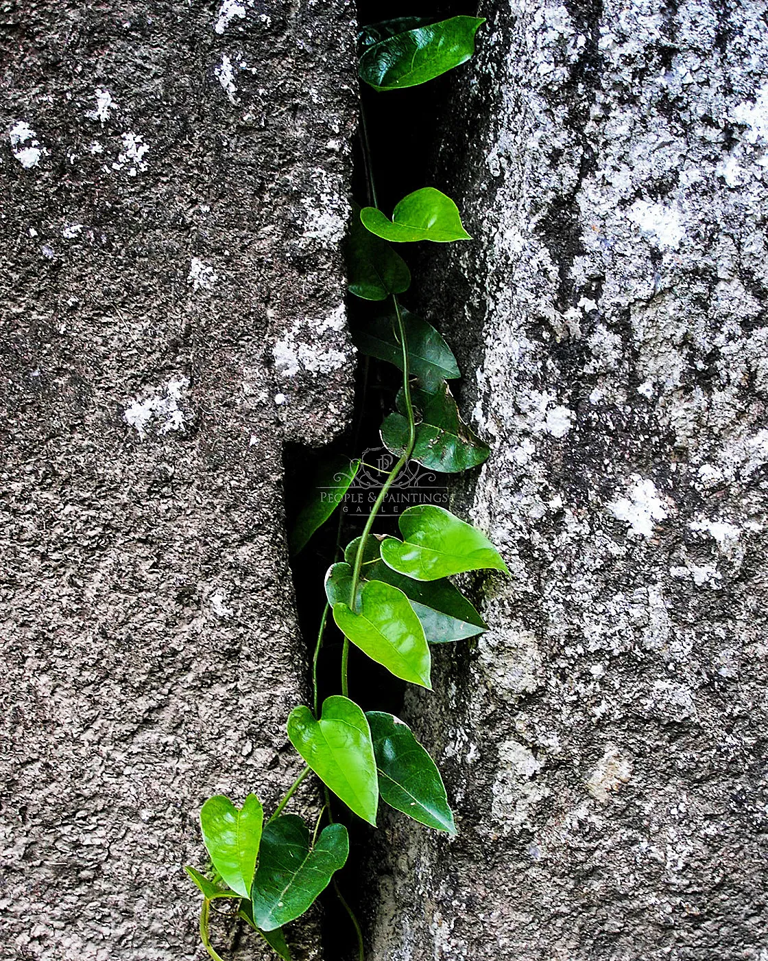 Life prevails