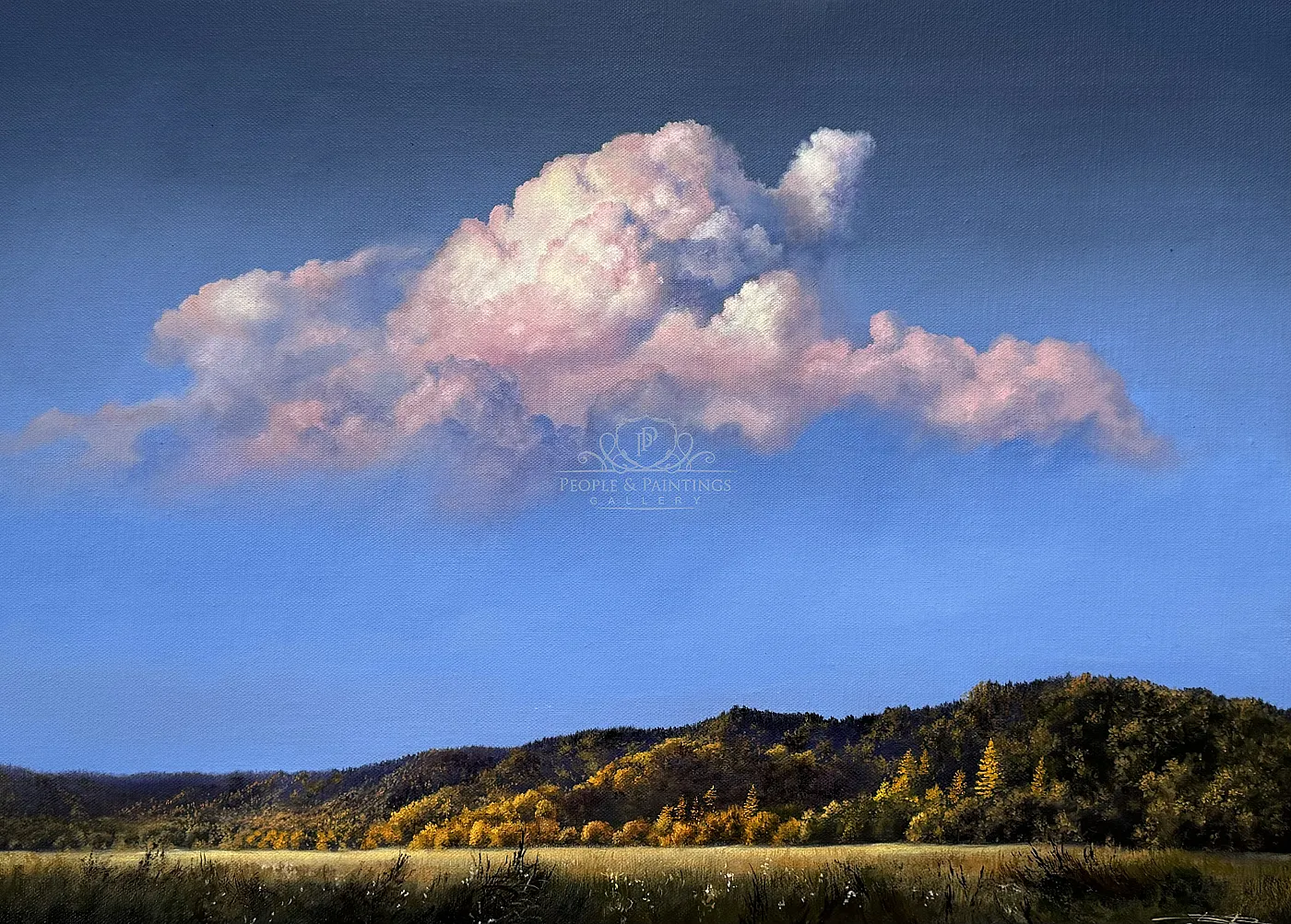 Sunset clouds