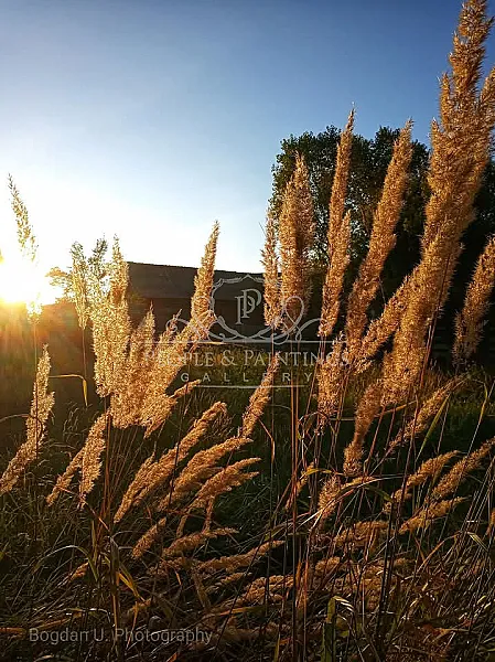 The Caress of the Sunset