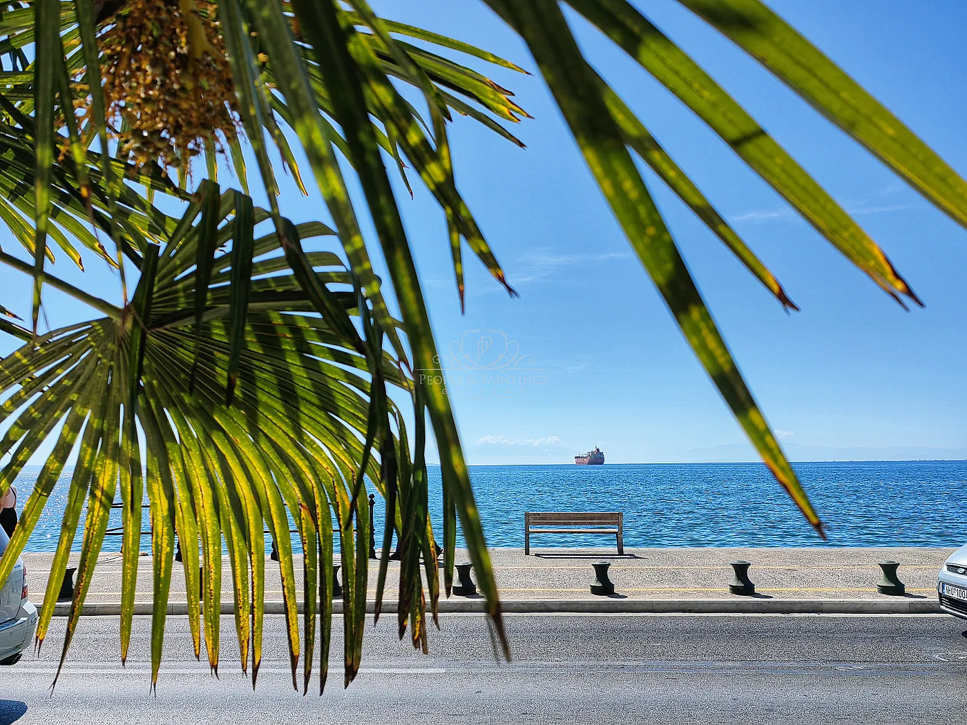 Sea: A palm's view