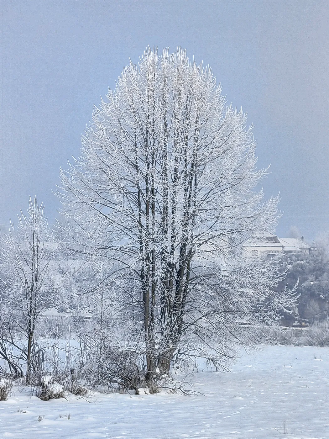 A winter tale
