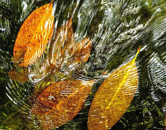Ephemerality