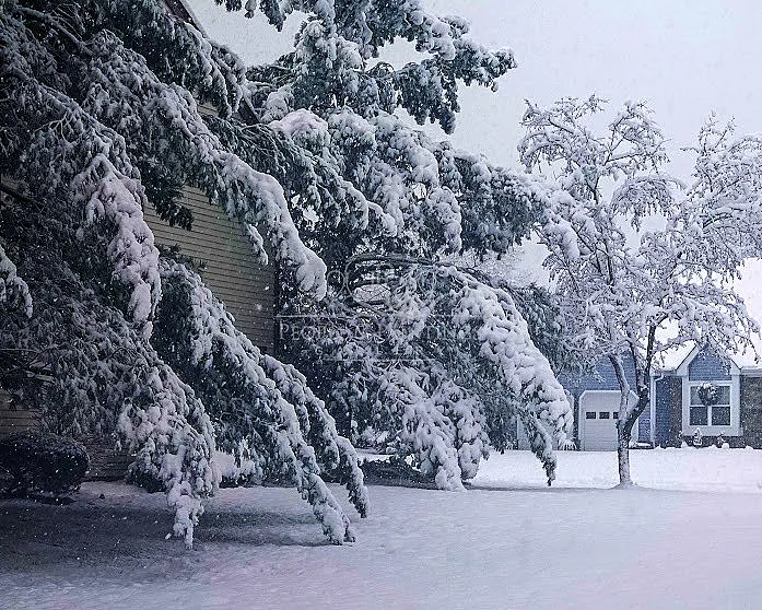 Morning after night snowfall