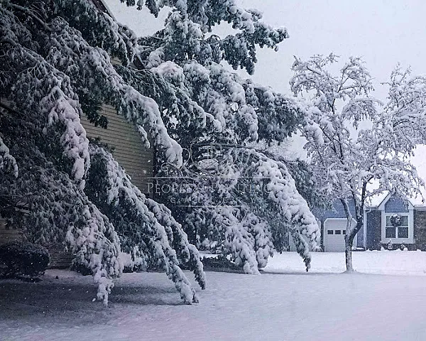 Morning after night snowfall