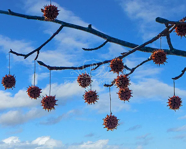 Autumn jewelry (1)