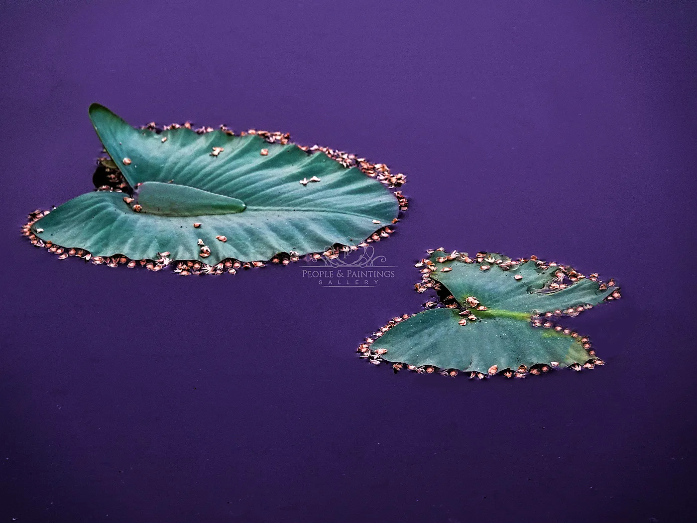 Autumn Jewelry (2)