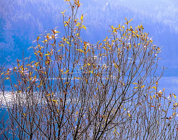 Late autumn