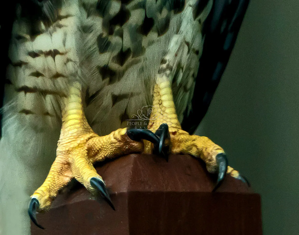 Strong Grip.