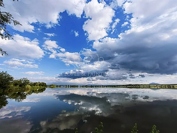 Mirroring