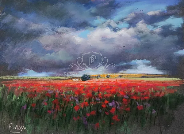 Amapolas
