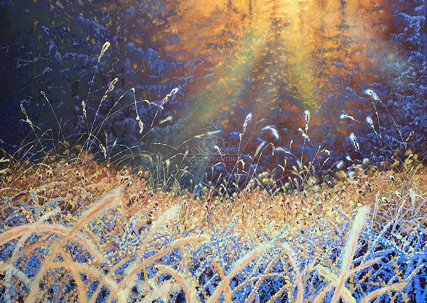 Frozen light