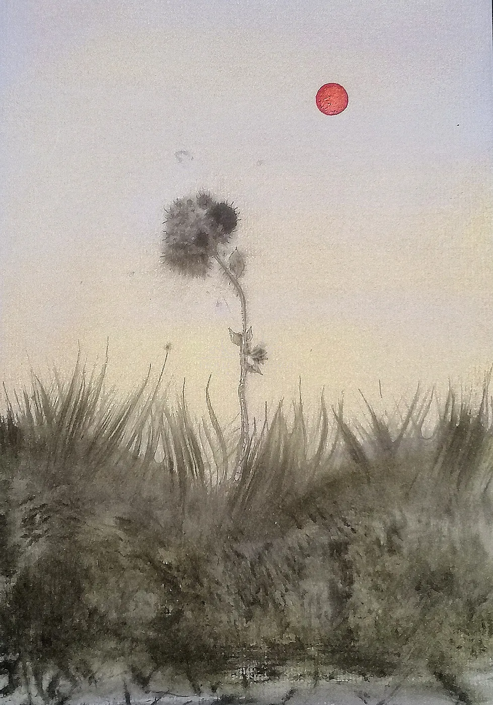 Bloom!