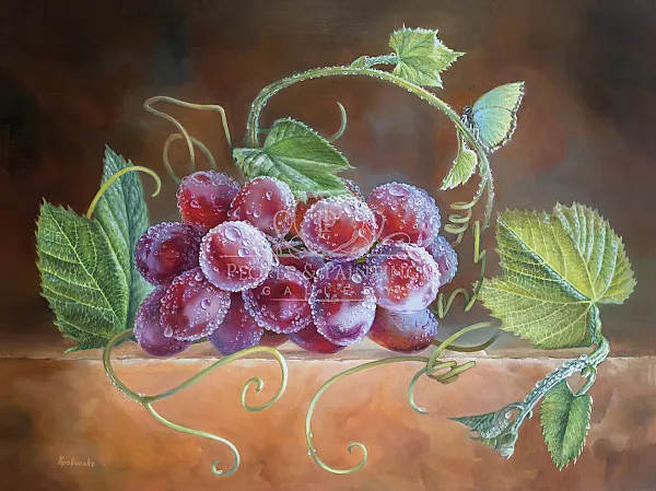 Grapes After the Rain and a Butterfly