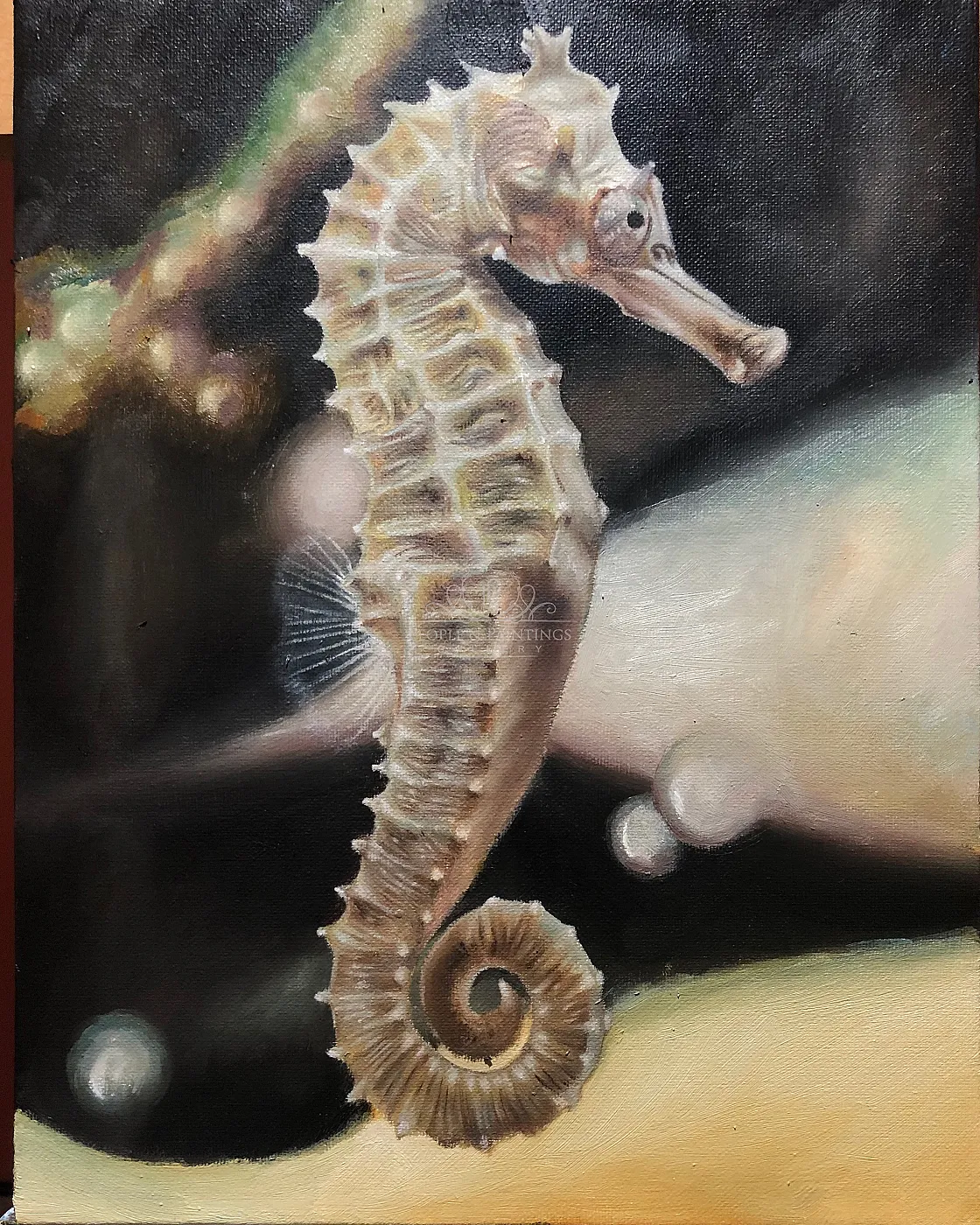 Seahorse